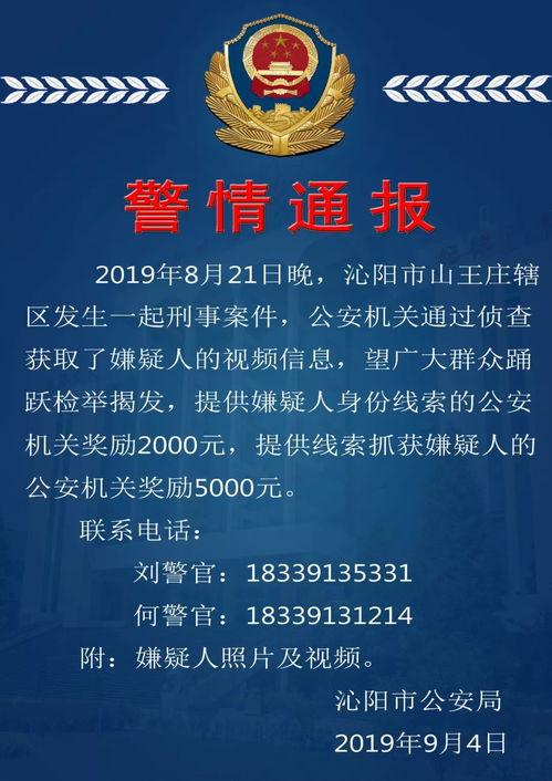 刑事案件爆料视频播放,网络爆料视频揭示的刑事案件内幕